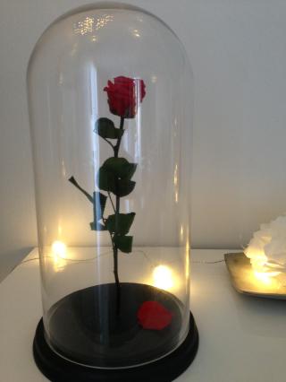 Fleuriste L' Atelier de Mary - Fleuriste Frontignan 0