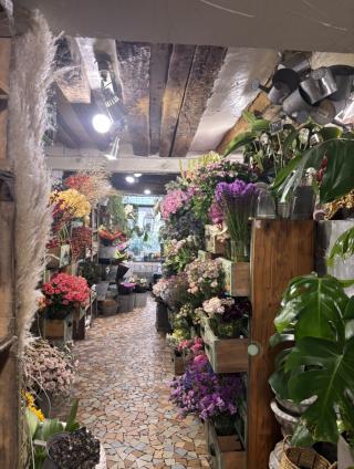 Fleuriste Chrysalide 2