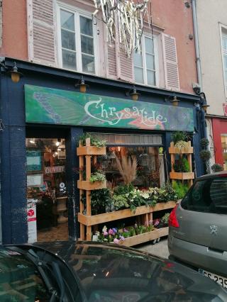 Fleuriste Chrysalide 0