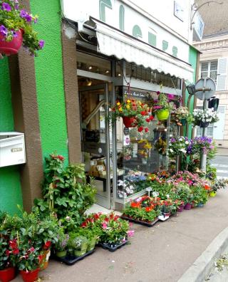 Fleuriste Bouvier Sylviane 0