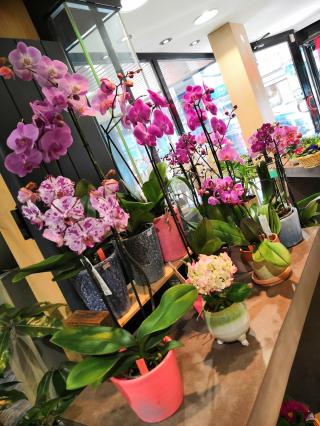 Fleuriste La Grange Aux Fleurs 0