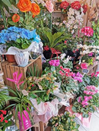 Fleuriste Betty S Fleurs 0