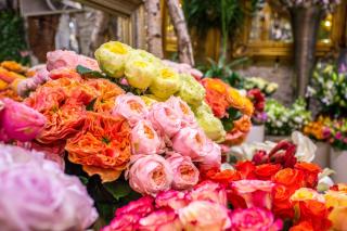 Fleuriste Sander Smids 0