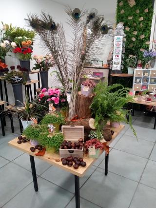 Fleuriste Aux fleurs d'Erika 0