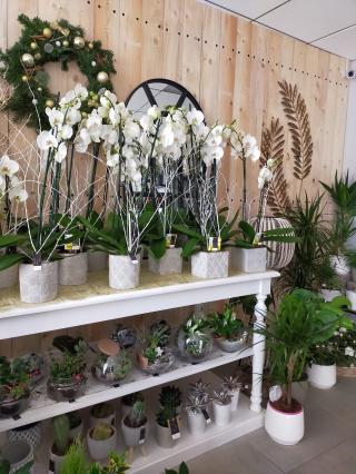 Fleuriste Avant l'Heure Blois 0