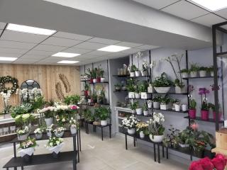 Fleuriste Avant l'Heure Blois 0