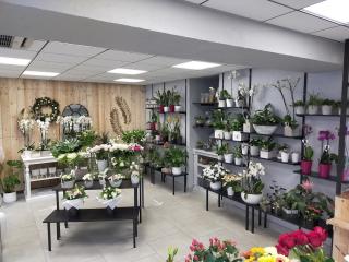 Fleuriste Avant l'Heure Blois 0