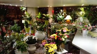 Fleuriste MICHELE FLEURS 0
