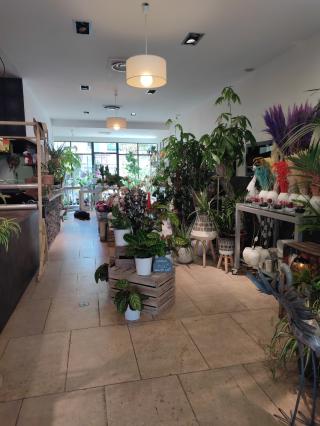 Fleuriste Terre de beauté 0