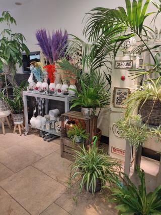 Fleuriste Terre de beauté 0