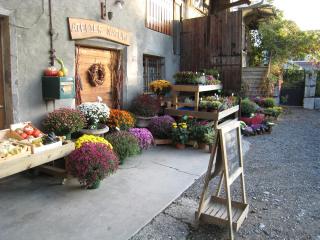 Fleuriste Atelier nature 2