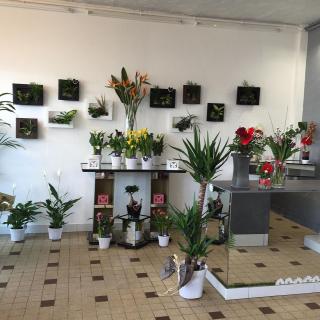 Fleuriste LE JARDIN DE NATICA 2