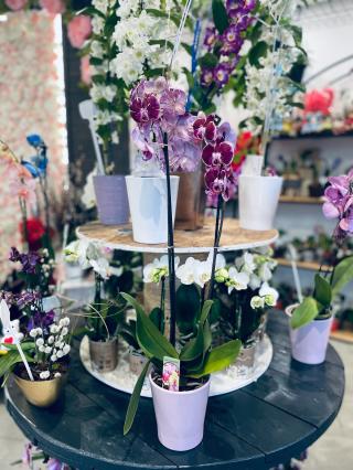 Fleuriste LE JARDIN DE NATICA 0