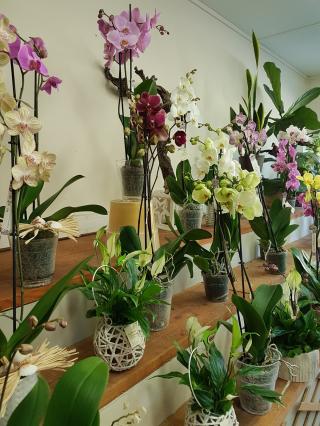 Fleuriste Au jardin d harmonie 0