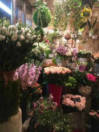 Fleuriste Chelles végétal 0