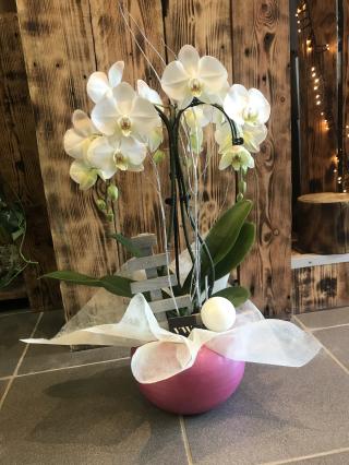 Fleuriste O jardin merveilleux / fleuriste 0