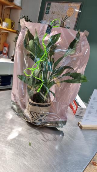 Fleuriste Le Jardin des Fleurs 0