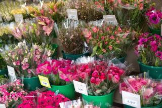 Fleuriste Le Jardin des Fleurs 0