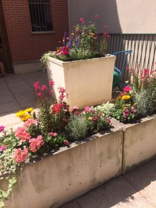 Fleuriste Étamine et Pistil 0