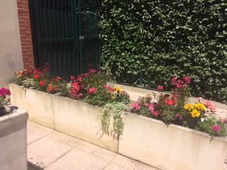 Fleuriste Étamine et Pistil 0