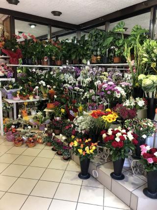 Fleuriste Floral'Is E.I. 0