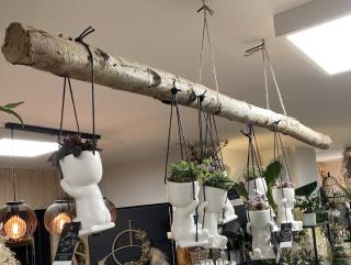 Fleuriste L'univers d'une Liss Fleuriste Cambrai 1