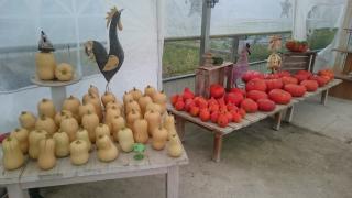 Fleuriste LES JARDINS DU PIFFOU 0