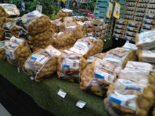 Fleuriste E.Leclerc Jardi 1