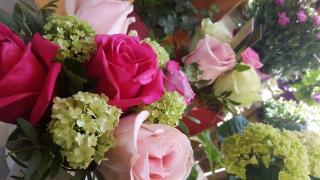 Fleuriste Au Nom De La Rose 0