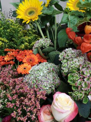 Fleuriste La Maison des Fleurs Boris Demay Cachan 1