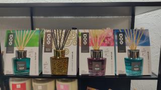 Fleuriste Arrosoir Et Pollen 0