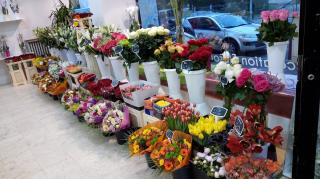 Fleuriste Le fleuriste du plateau 0