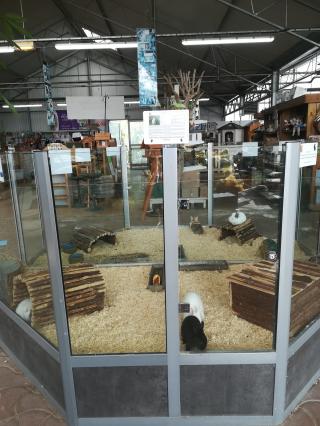 Fleuriste Côté Nature Pacy-sur-Eure 0