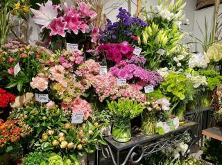 Fleuriste Atelier Vert Tendre 0