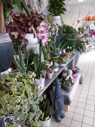 Fleuriste Mona'Flor 2