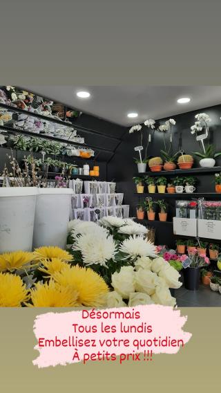 Fleuriste Châtillon Fleurs 1