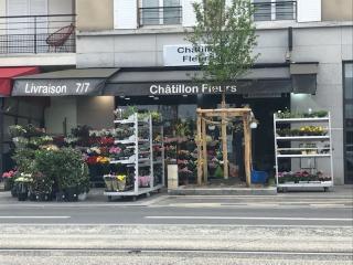 Fleuriste Châtillon Fleurs 0