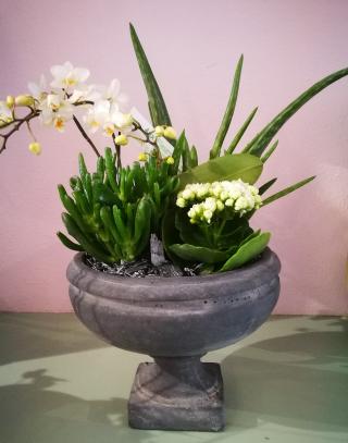 Fleuriste Aux Fleurs De Nice 0