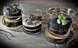 Fleuriste Naturaë 0