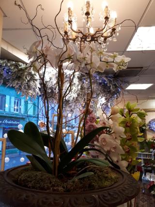 Fleuriste Gautier Bernard 0