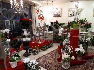 Fleuriste Gautier Bernard 0