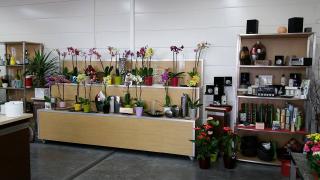 Fleuriste Fleurs et Nature 1
