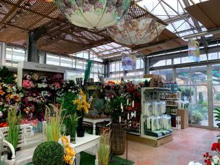 Fleuriste Jardinerie Fleurs d'Europe 0