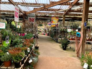 Fleuriste Jardinerie Fleurs d'Europe 0