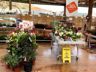 Fleuriste Jardinerie Fleurs d'Europe 0