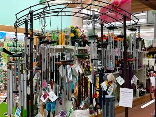 Fleuriste Jardinerie Fleurs d'Europe 0