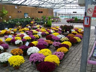 Fleuriste AU Jardin d'Olivet 0