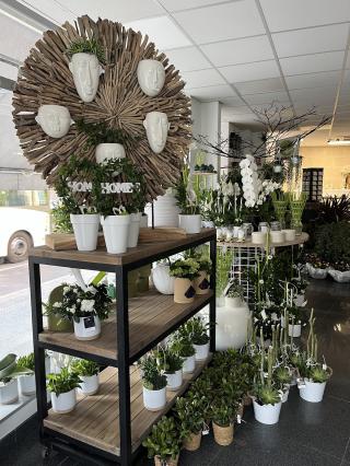 Fleuriste Eden Fleurs 0