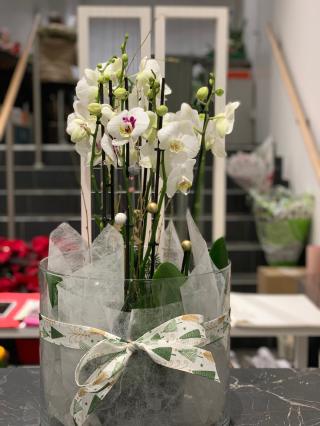 Fleuriste La Fleuriste 0