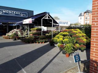 Fleuriste Monceau Fleurs 0